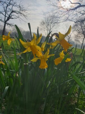 6b287b37-39b4-413a-9053-406c721c4dae