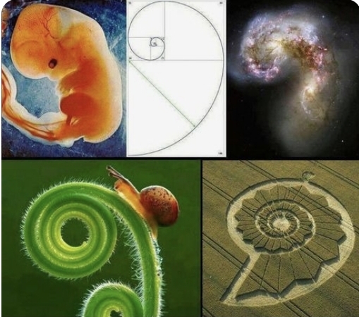 Screenshot_20241123_074734