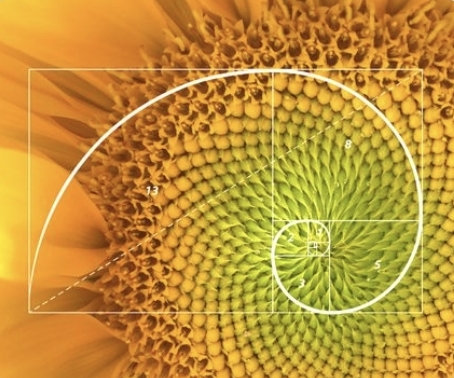 Screenshot_20241123_074507