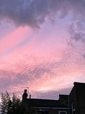 107077F8-C6CC-4A07-A39C-F025B7F98DB3