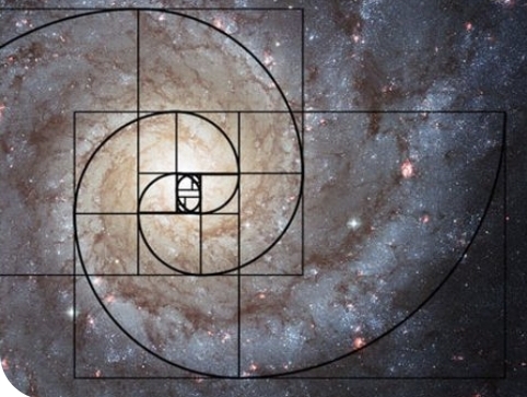 Screenshot_20241123_074640