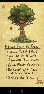 85ae932c-e918-4eee-8c3c-8cc325880550