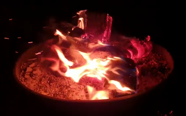 VID-20210424-WA0016 (1)